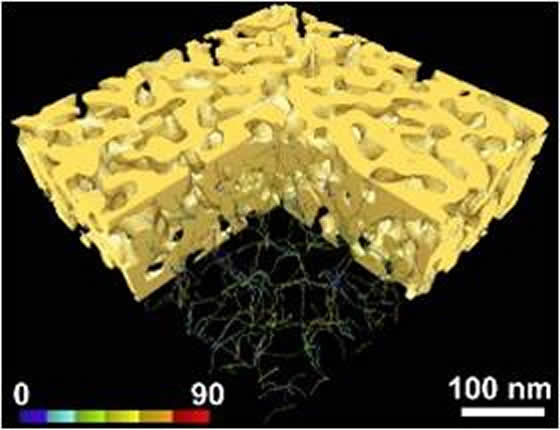 ナノポーラス構造金属薄膜