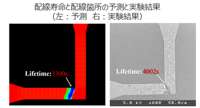 多層配線の信頼性評価方法