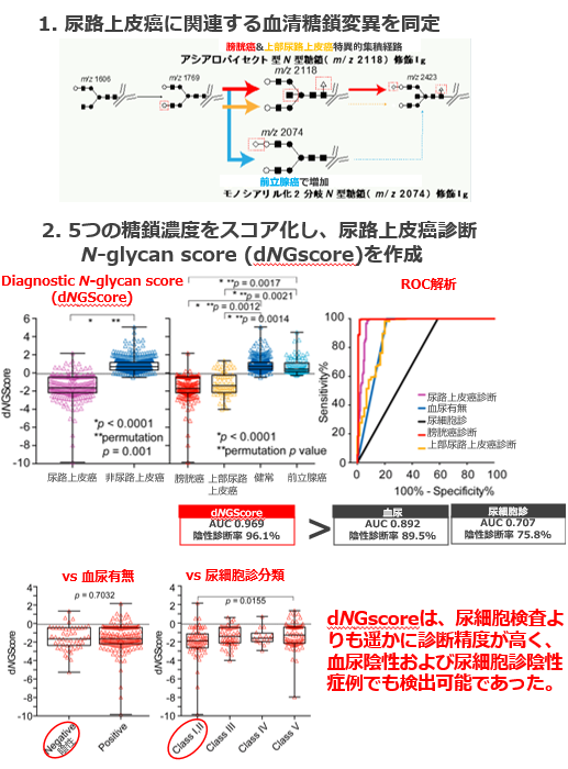 尿路上皮癌の診断バイオマーカー