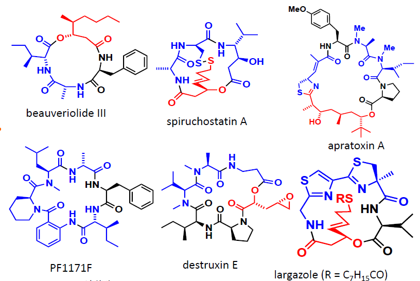 環状ペプチド等の合成