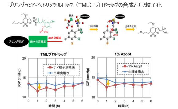 ナノ製剤の製造方法