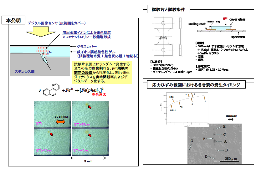 応力腐食割れおよび孔食等の発生の検知方法