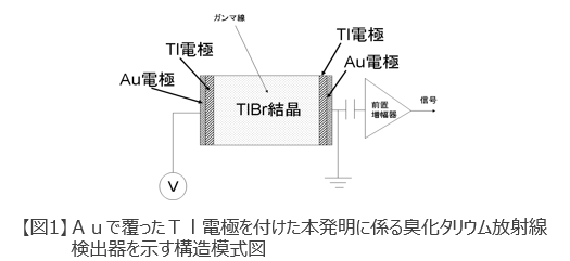 恒久使用型臭化タリウム放射線検出器