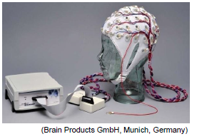 小動物用の脳波測定用システム