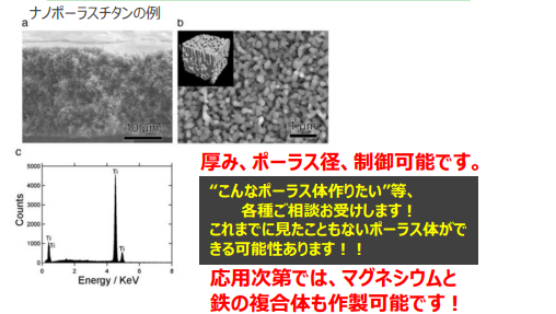 オープン型ナノポーラス体、表面処理、複合体
