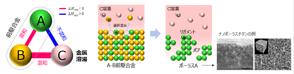 オープン型ナノポーラス体、表面処理、複合体