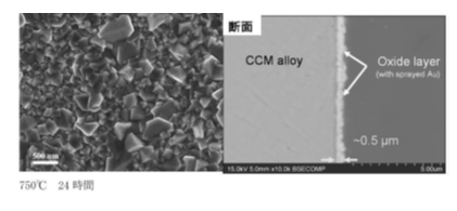 アルミニウムダイキャスト金型用合金組成物およびその製造方法
