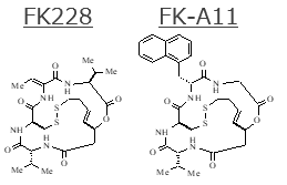 HDAC/PI3K　2重阻害剤