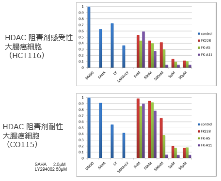 HDAC/PI3K　2重阻害剤