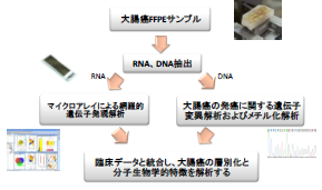 大腸がん治療薬の応答性及び予後の予測方法