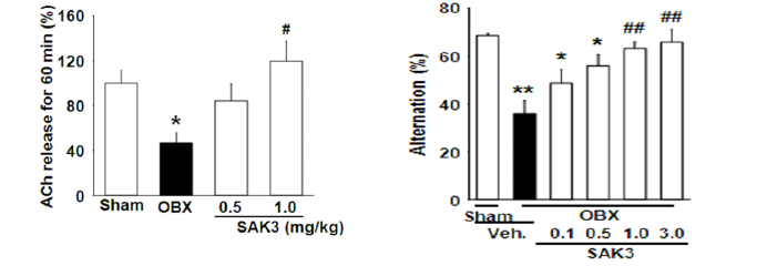 脳機能改善効果を有するヘテロスピロ環化合物