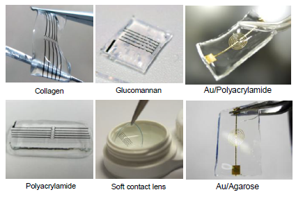 電極を印刷したゼリー