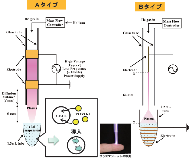 遺伝子導入装置および遺伝子導入方法