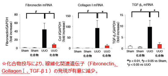 臓器線維化抑制剤