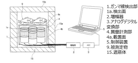 非破壊放射能測定装置およびその放射能測定方法