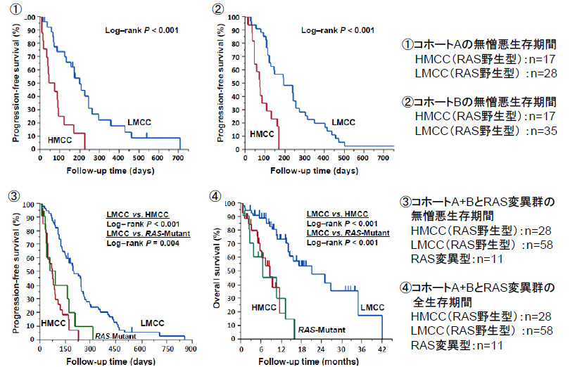 大腸がん治療薬の応答性及び予後の予測方法