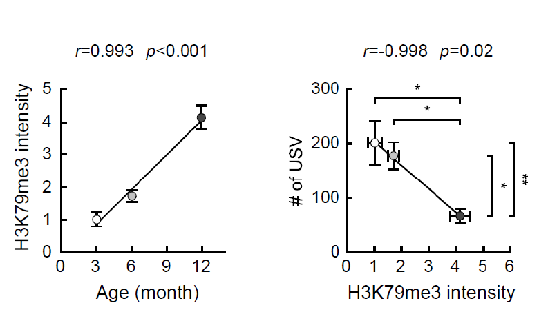 自閉症スペクトラムマーカー