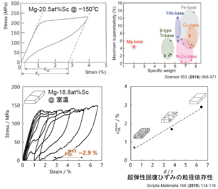 超弾性効果を発現するマグネシウム合金