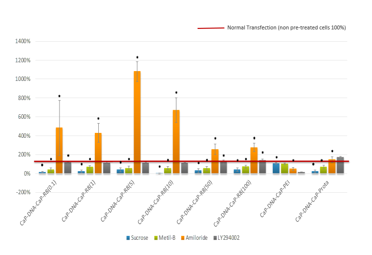リン酸カルシウムベクター