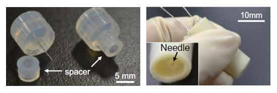 表皮電位測定装置