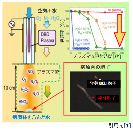 病原体および害虫の駆除装置およびその反応容器