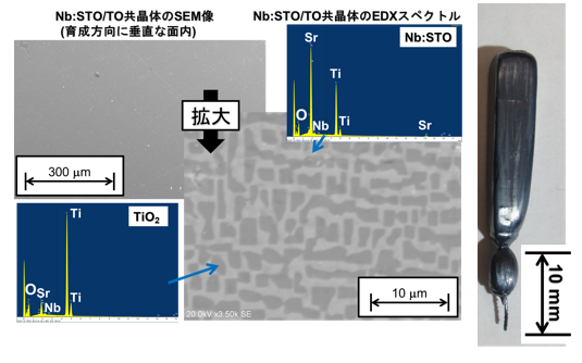 熱電材料およびモジュール