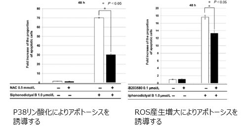 多標的キナーゼ阻害剤 Liphagal及び類縁体siphonodictyal B