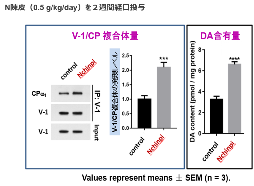 折り畳み式電池