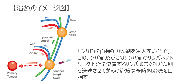 リンパ行性薬剤送達