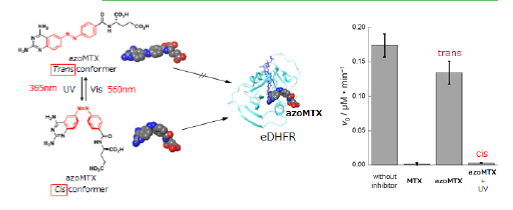 光応答性リガンド