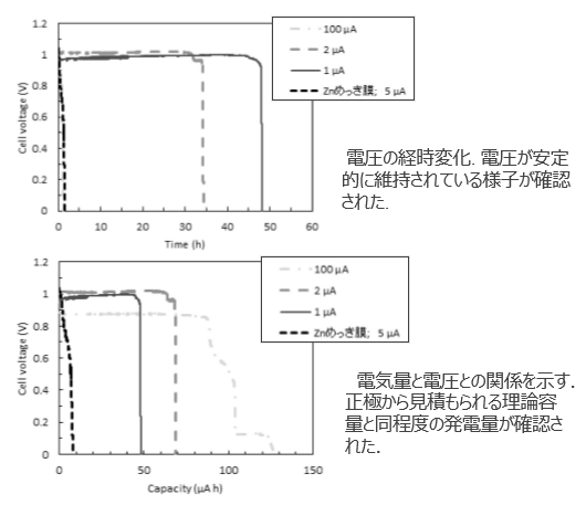 飲み込み型センシングデバイスに適用可能な電池技術