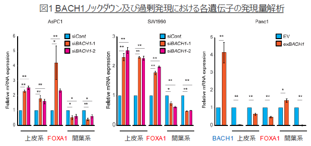 膵臓がんの予後予測マーカー