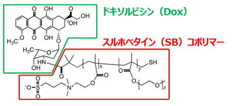 細胞凝集塊内薬物導入剤