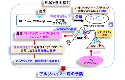 ローヤルゼリー分画の製造方法