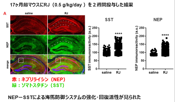ローヤルゼリー分画の製造方法