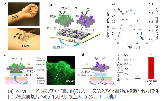 貼る注射「マイクロニードルポンプ」