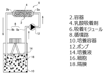 乳酸吸着剤および乳酸の除去方法