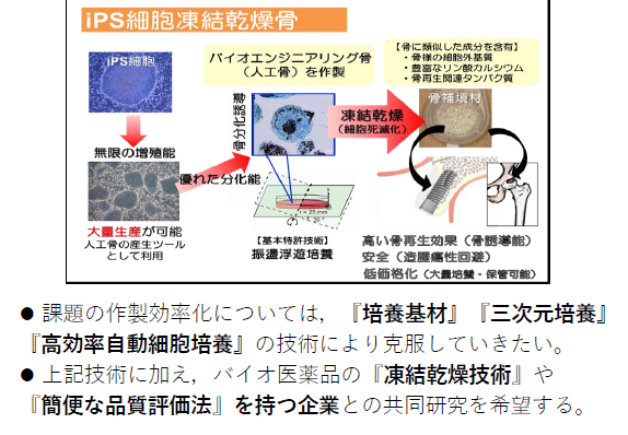 骨誘導能を有する吸収置換型骨再生剤