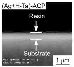 生体材料およびその製造方法