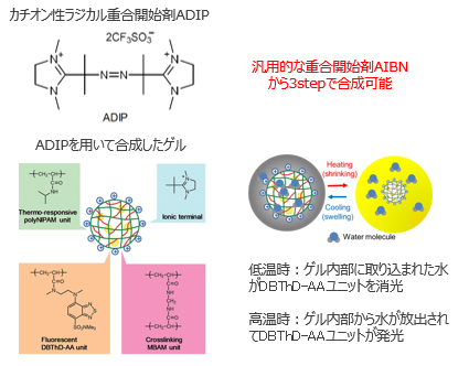 細胞内送達ベヒクル