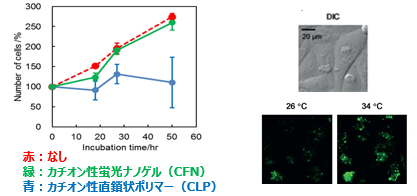 細胞内送達ベヒクル