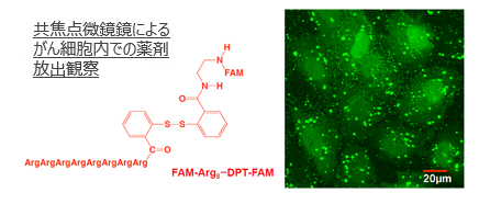 ADC用細胞内環境応答型リンカー
