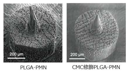 生分解性ポーラスマイクロニードル