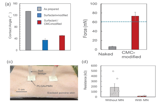 生分解性ポーラスマイクロニードル