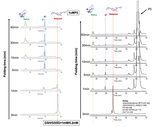 タンパク質の液-液相分離をin vitroで制御可能