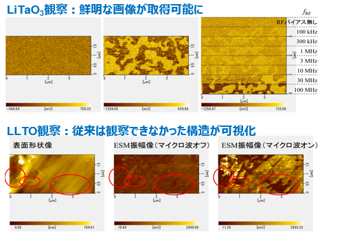 高周波エンハンスト電気化学歪み顕微鏡