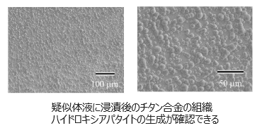 陽極酸化を施した生体用チタン合金