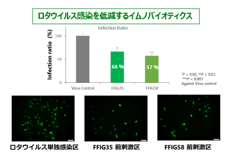 抗ウイルス免疫活性を高める海藻資化性乳酸菌