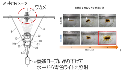 水中で固定できるLEDライト