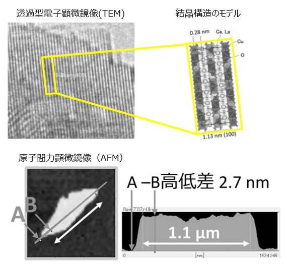 ナノシートおよびその製造方法